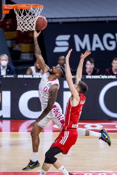 锡红牛的后 锡红牛的后